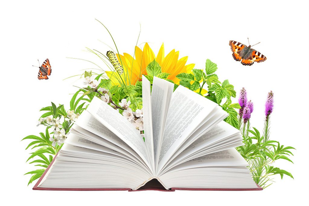 فروش ابزار تخصصی کار با فلز و بتن